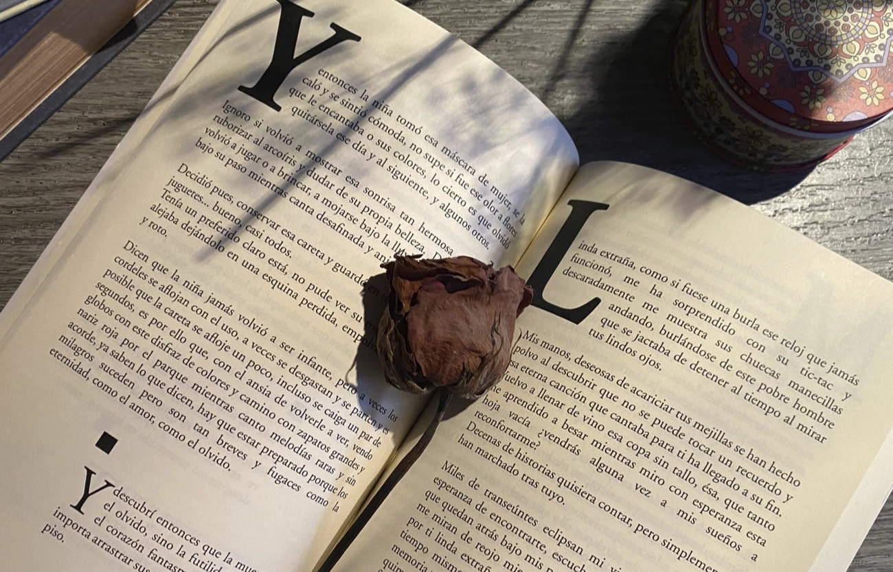 letras cortitas, libro, recomendación, arandas, méxico.